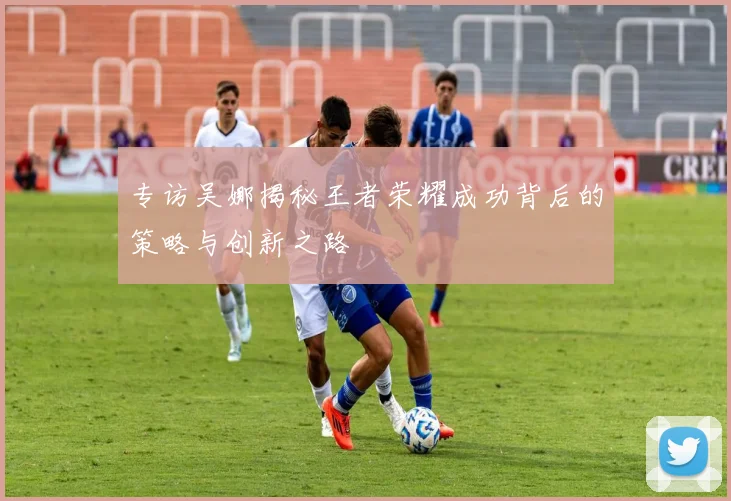 专访吴娜揭秘王者荣耀成功背后的策略与创新之路